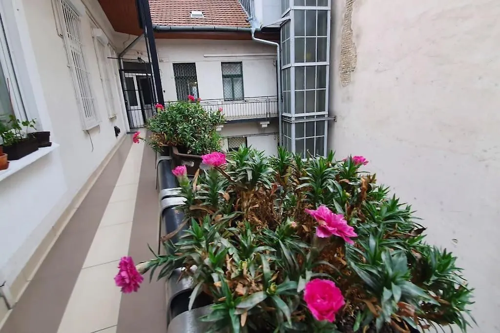 Violet Apartment With Air Condition elérhetőségei